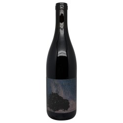 Concinnitas Farm Pinot Noir Gamay 2024
