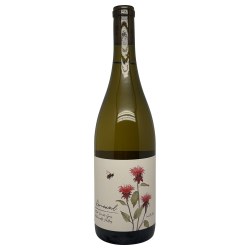 Renewal Pinot Gris 2024