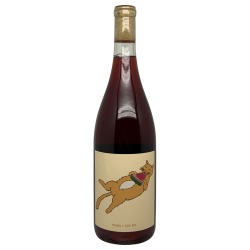 Sonder & Sage Carb Nebbiolo 24