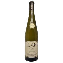 Illahe Pinot Gris 2025