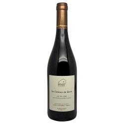 Julien Braud Coteaux Sevre Rouge 2025