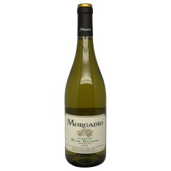 Morgadio Albarino 2025