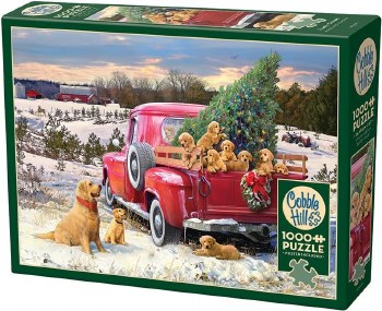 Cobble Hill 1000pc Family Outing