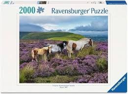 Ravensburger 2000pc Wild Horses In The Heather
