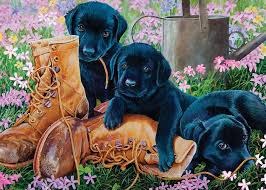 Cobble Hill 35pc Tray Black Lab Puppies