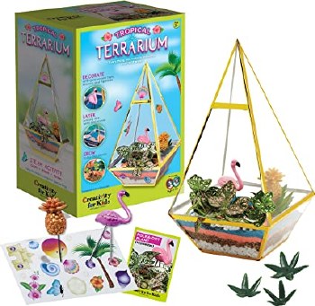 Creativity For Kids Tropical Terrarium Kit