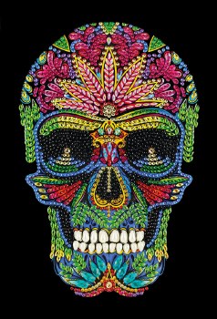 Crystal Art Notebook Skull