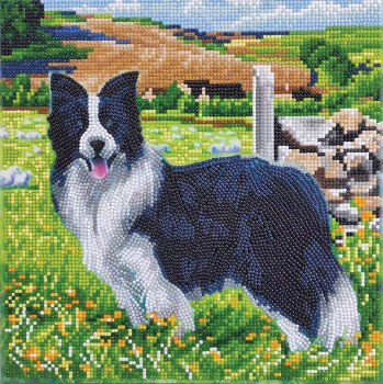 Crystal Art Mounted Kit Pup In The Field