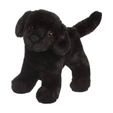 Douglas Abraham Black Lab 3997