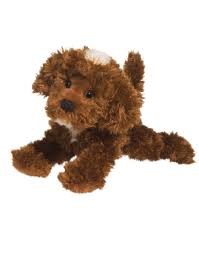 Douglas Bosco Chocolate Labradoodle 3993