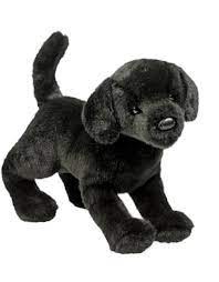 Douglas Brewster Black Lab 1883
