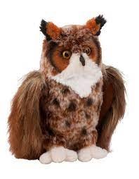 Douglas Einstein Great Horned Owl 3838