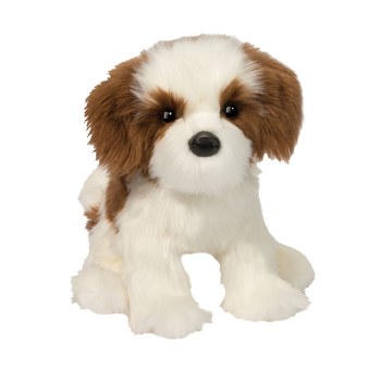 Douglas Farren Shih Tzu 1928