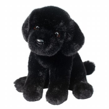 Douglas Ford Black Lab 1915