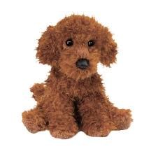 Douglas Ginger Mini Poodle 1923