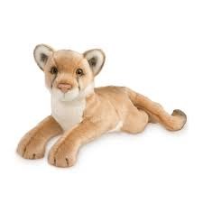 Douglas Kelso Mountain Lion