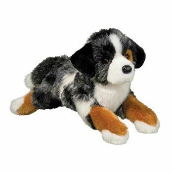 Douglas Maizie Australian Shepherd