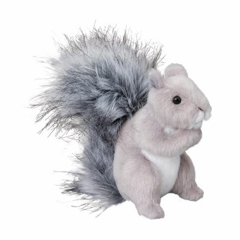 Douglas Shasta Gray Squirrel 4035