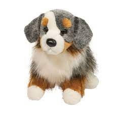 Douglas Sinclair Australian Shepherd 2019
