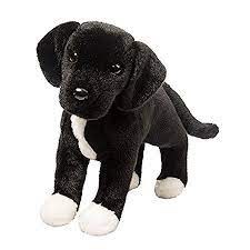 Douglas Twister Black Lab Pit Mix 2024