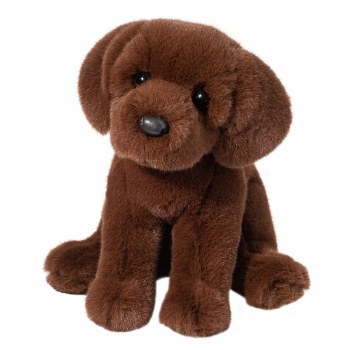Douglas Zoom Chocolate Lab 1916