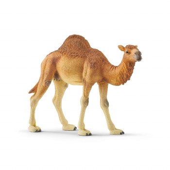 Schleich Dromedary