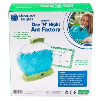 Day N Night Ant Factory
