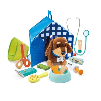 Hape Puppy Care Clinic Vet Set