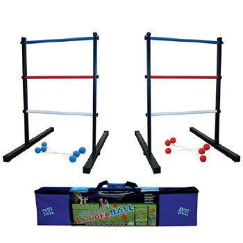 Ladderball Pro Steel
