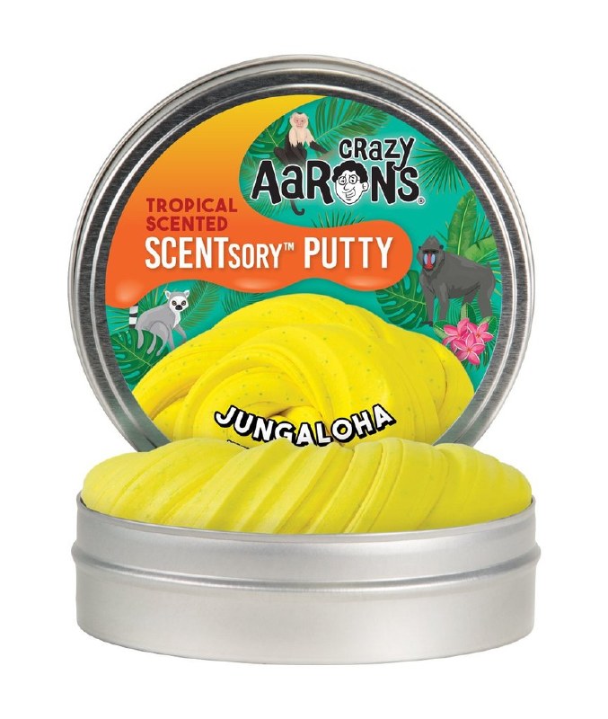 crazy aaron's thinking putty