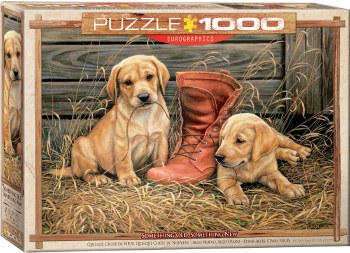 Eurographics 1000pc Something Old Something New