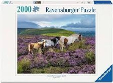 Ravensburger 2000pc Wild Horses In The Heather