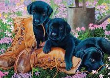 Cobble Hill 35pc Tray Black Lab Puppies