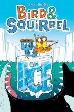 Bird And Squirrel On Ice