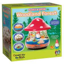 Creativity For Kids Plant And Grow Woodland Forest