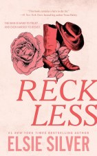 Chestnut Springs Book 4 Reckless Elsie Silver