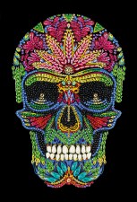 Crystal Art Notebook Skull