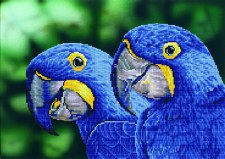 Diamond Dotz Blue Hyacinth Macaws