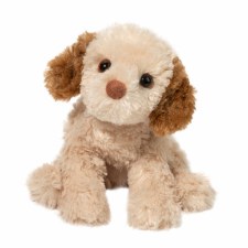 Douglas Biscuit Cavapoo 3975