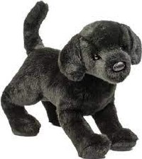 Douglas Chester Black Lab 1805