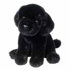 Douglas Ford Black Lab 1915