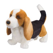 Douglas Harold Basset Hound 2012