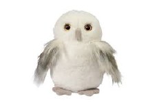 Douglas Orie White Owl Soft 4588