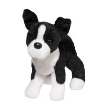 Douglas Quincy Boston Terrier 3988