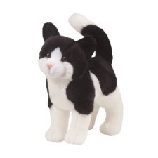 Douglas Scooter Black And White Cat 1868