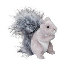 Douglas Shasta Gray Squirrel 4035