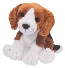 Douglas Sniff Beagle 1558