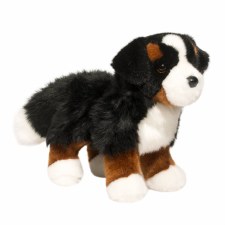 Douglas Stevie Bernese Mountain Dog 1710