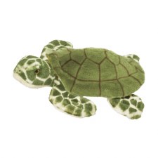 Douglas Toti Turtle 275