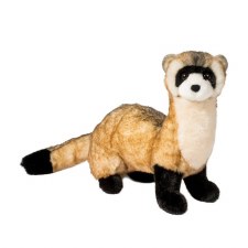 Douglas Vince Black Footed Ferret 3769